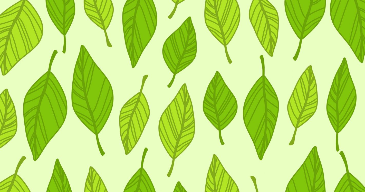 Ilustración de Hojas Verdes y Blancas. Wallpaper in 2048x1080 Resolution