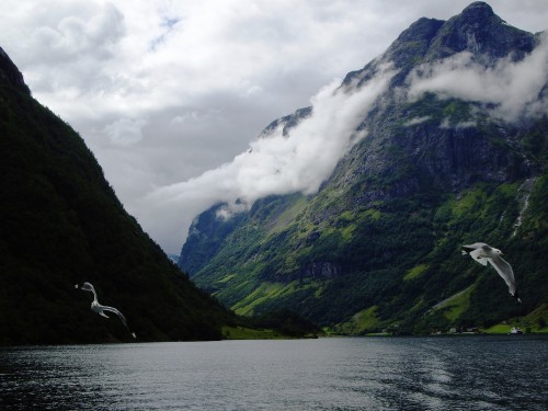 Image body of water between mountains under cloudy sky during daytime