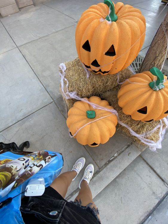 Les Courges D'hiver, Courge, Jack o Lantern, Calabaza, Produit. Wallpaper in 1536x2048 Resolution