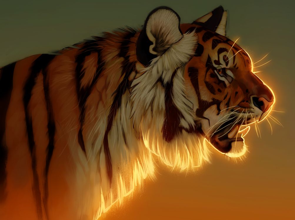 Tiger Mit Orange Hellem Hintergrund. Wallpaper in 5178x3870 Resolution