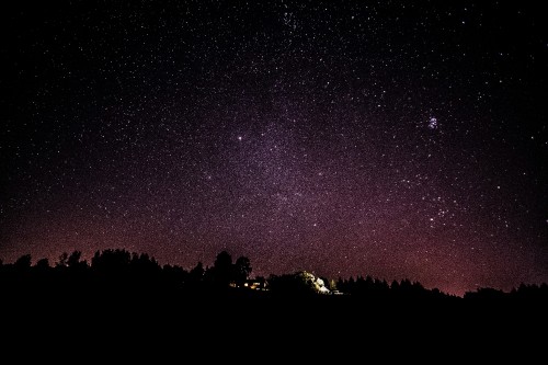 Image silhouette of trees under purple sky