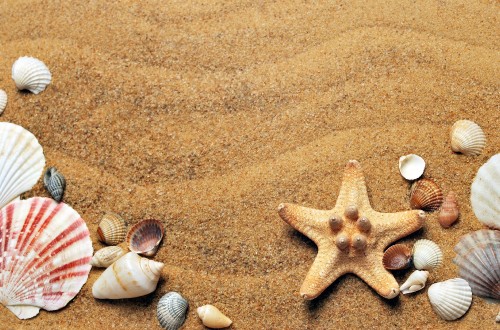 Sommer Hintergrundbilder Sommer Hd Bilder Fotos Kostenlos Herunterladen