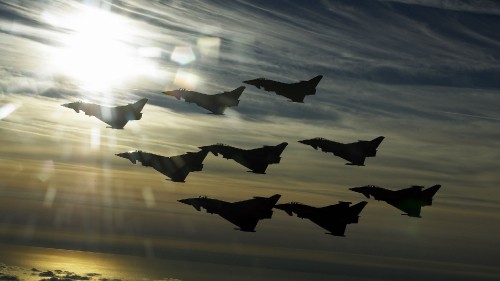 Image silhouette of birds flying during sunset