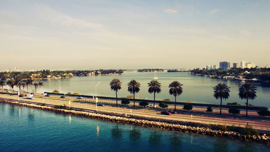 Image palm trees near body of water during daytime