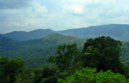 Image green trees on mountain under white clouds during daytime