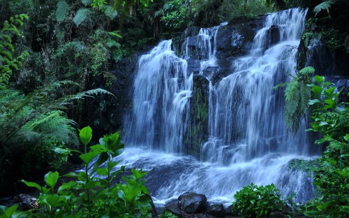 Image water falls in the middle of green moss covered rocks