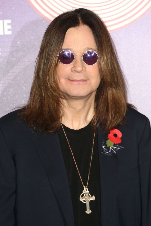 名人, 头发, 发型, 长长的头发, 下巴 壁纸 2551x3799 允许