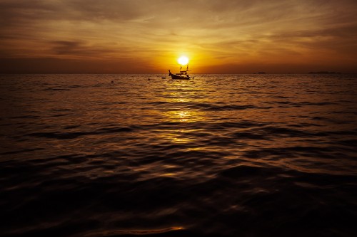 Image silhouette of person on sea during sunset