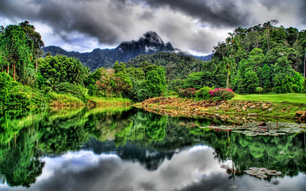 green trees near lake under cloudy sky during daytime