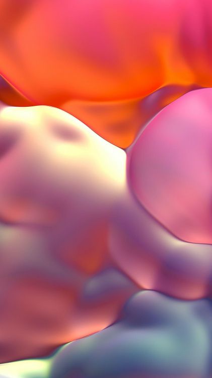 紫色的, 橙色, 粉红色, 料酒店, 品红色 壁纸 1242x2208 允许