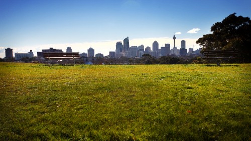 Image green grass field near city buildings during daytime