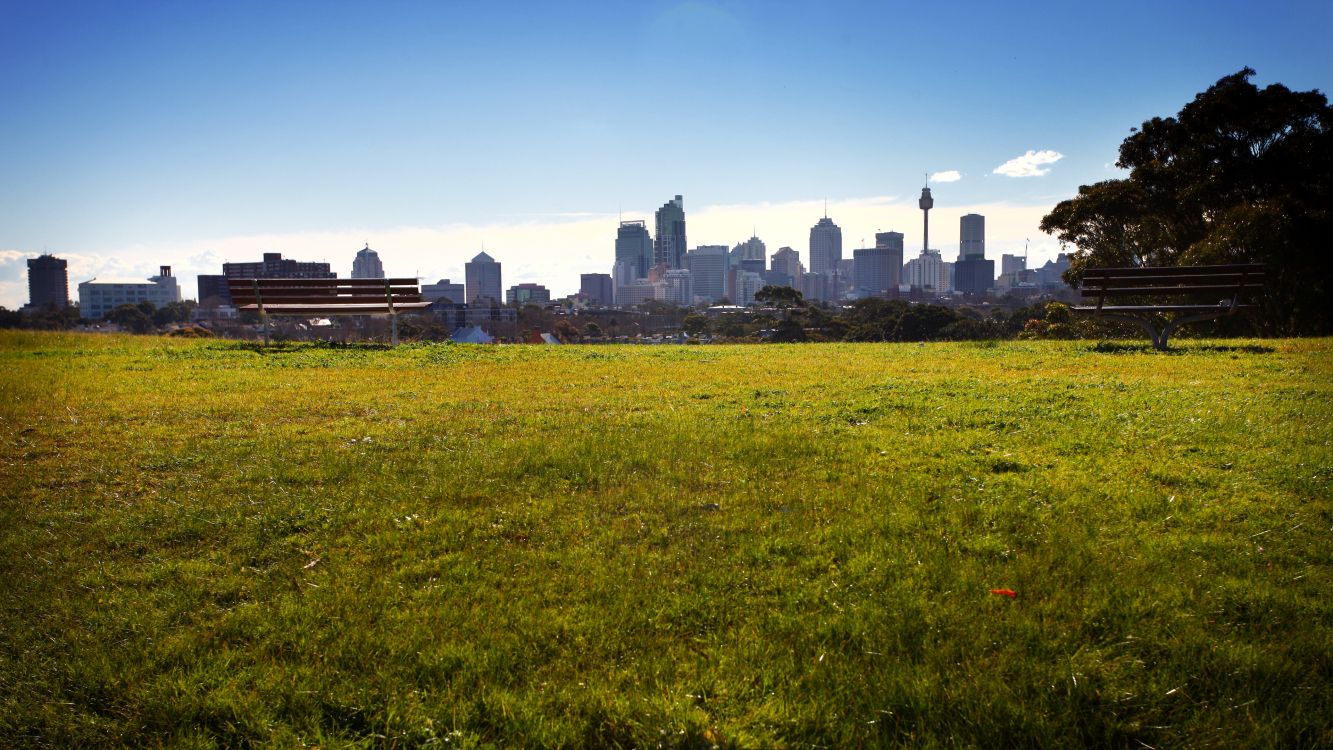 green grass field near city buildings during daytime