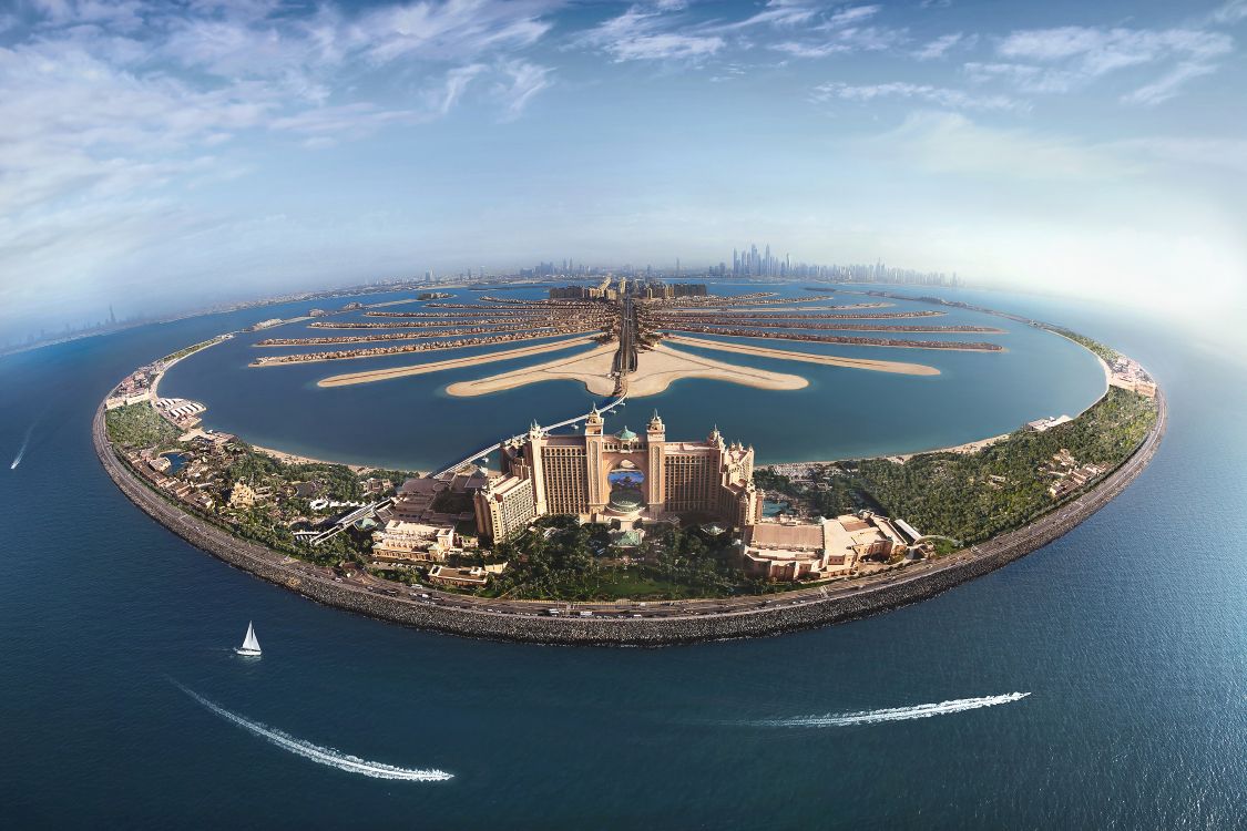 aerial view of city buildings near body of water during daytime