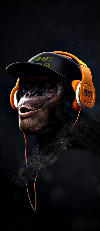 Butin de Singe, Affiche, Art, Primat, Hat. Wallpaper in 1080x2482 Resolution