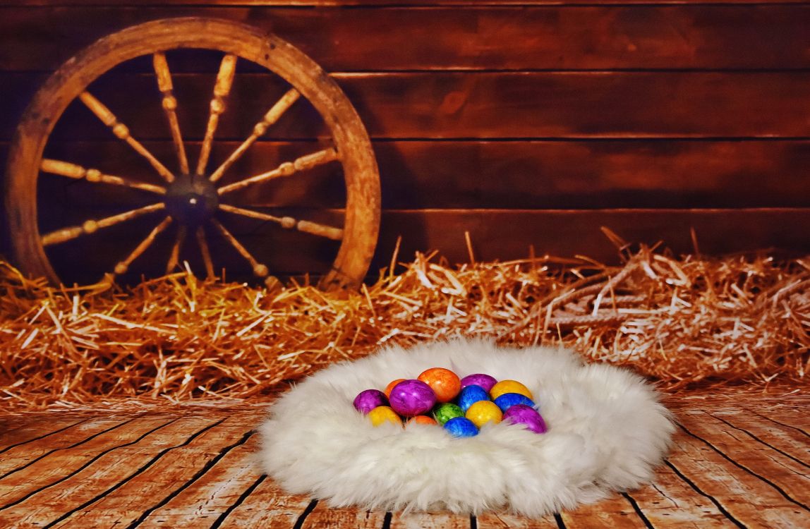 Huevo de Pascua, Pascua, Gato, Conejo, Huevo de Decoración. Wallpaper in 5912x3862 Resolution