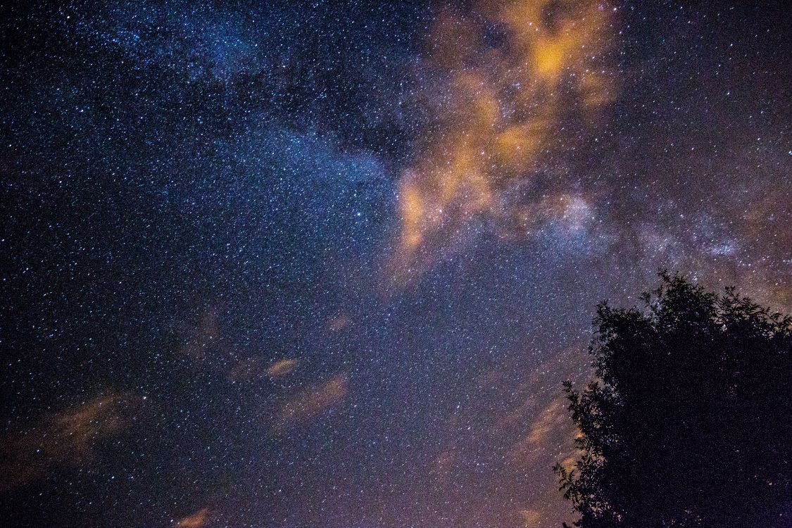Silhouette Von Bäumen Unter Blauem Himmel Mit Sternen Während Der Nacht. Wallpaper in 5472x3648 Resolution