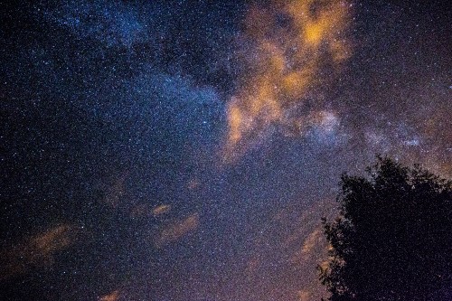 Image silhouette of trees under blue sky with stars during night time