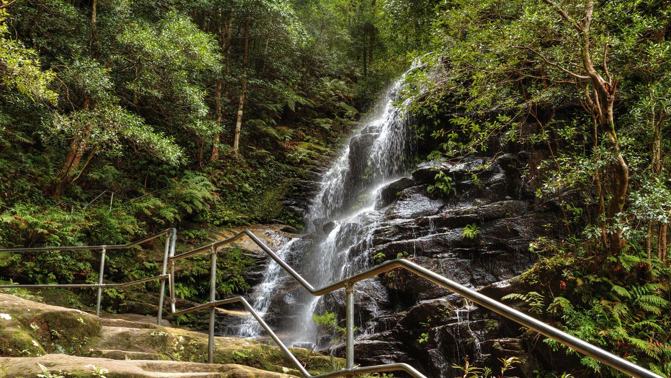 L'eau Tombe au Milieu de la Forêt. Wallpaper in 3840x2160 Resolution