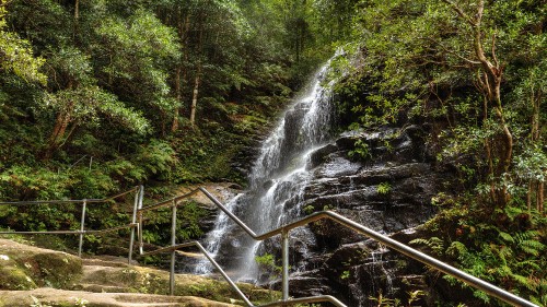 Image water falls in the middle of the forest