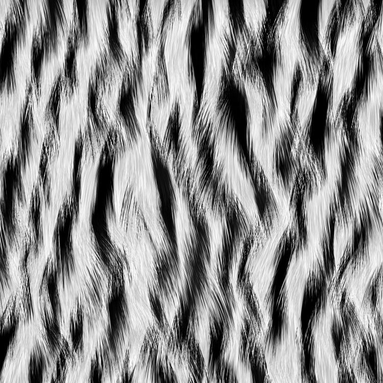 Download 2000x2000 Wallpaper Schwarz-weißes Zebramuster Schwarz-weißes Zebramuster. Wallpaper in 2000x2000 Resolution