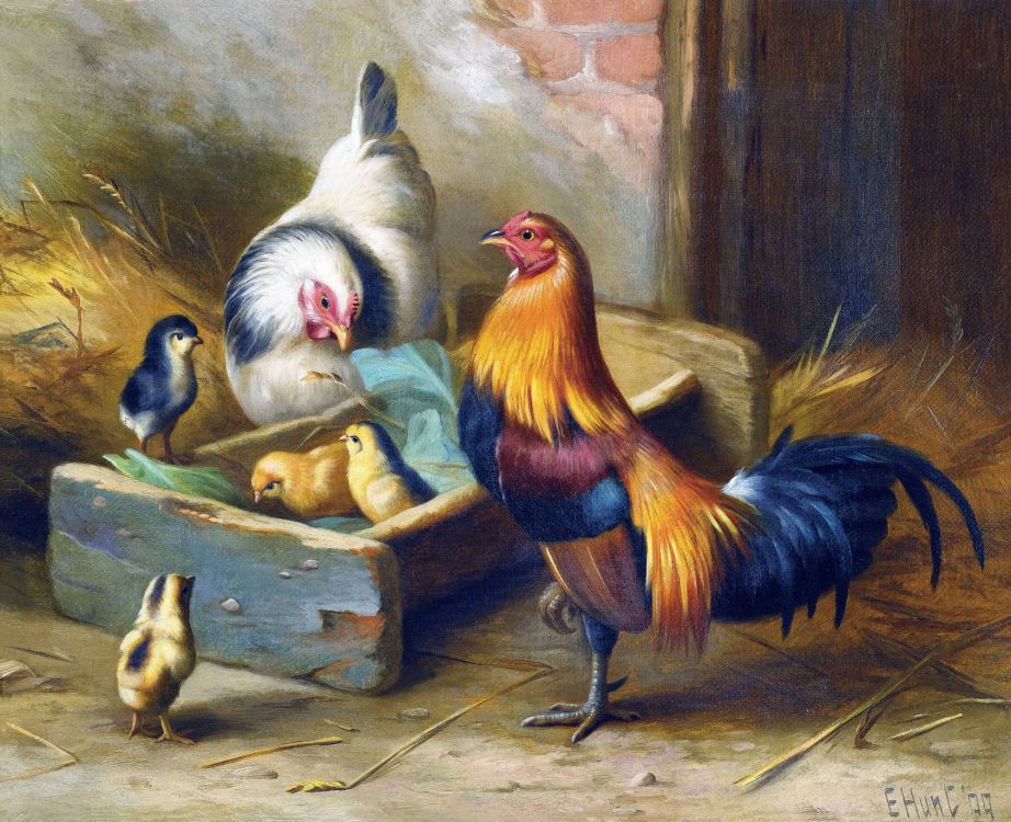 Coq Blanc et Marron Sur Une Table en Bois Marron. Wallpaper in 2000x1626 Resolution