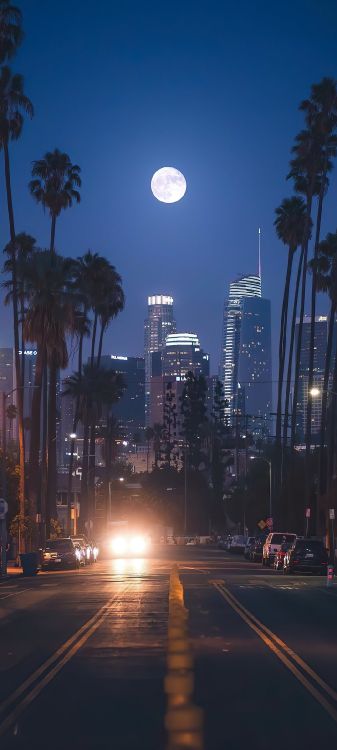 Edificio, Ambiente, la Luz de Calle, Coche, Luz. Wallpaper in 1080x2400 Resolution