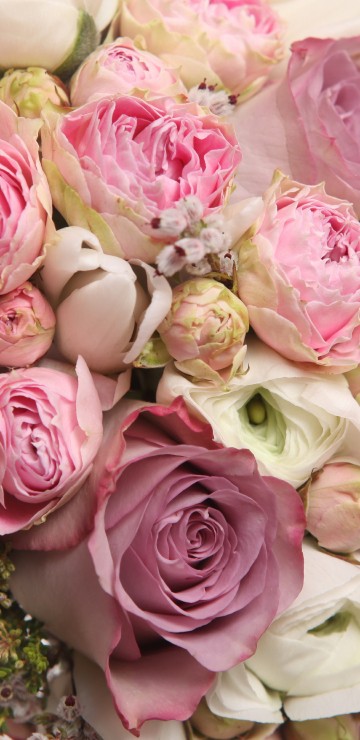 Image pink and white roses bouquet