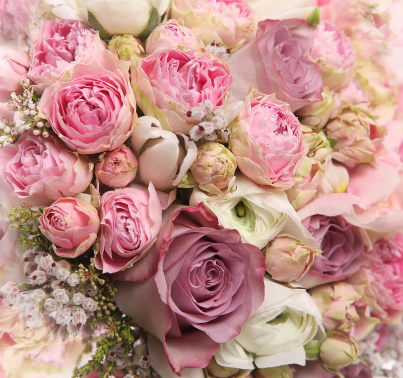 Ramo de Rosas Rosadas y Blancas. Wallpaper in 6816x6390 Resolution