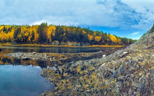 Image green trees beside river under blue sky during daytime