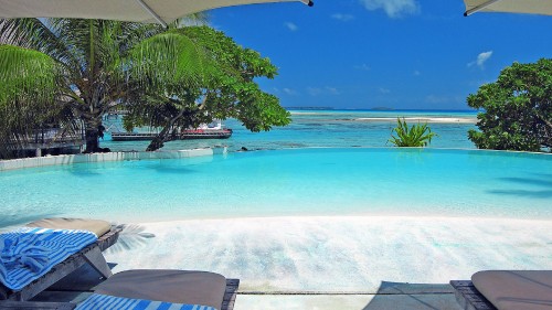 Image white and blue swimming pool near green palm trees during daytime