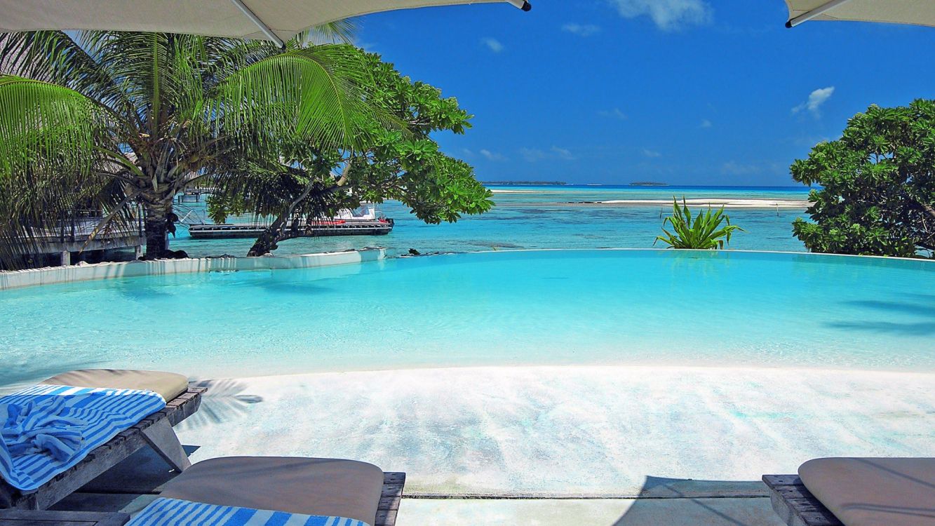 white and blue swimming pool near green palm trees during daytime