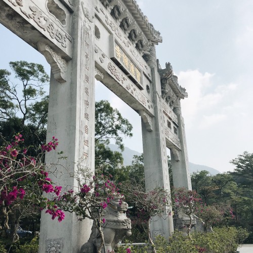 Image column, shrub, spring, monument, garden