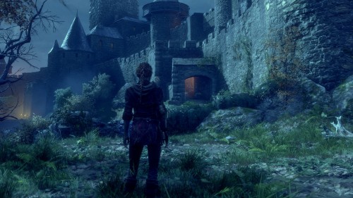 Image A Plague Tale Innocence, adventure game, pc game, tree, Digital compositing