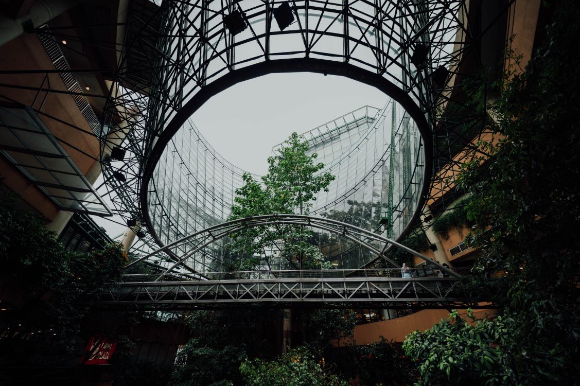 植被, 灰度, 拱门, 黑色和白色的, 正面 壁纸 6048x4024 允许