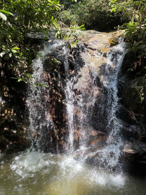 Cascade, Les Ressources en Eau, Cours D'eau, Corps de L'eau, Nature. Wallpaper in 1536x2048 Resolution