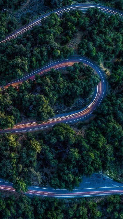性质, 植被, 科学, 斜坡, 城市设计 壁纸 1080x1920 允许