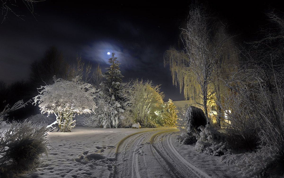 Camino Cubierto de Nieve Entre Árboles Durante la Noche. Wallpaper in 2560x1600 Resolution