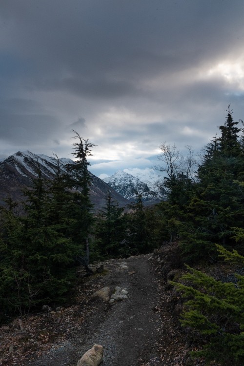 Image sky, mountainous landforms, highland, spruce, Conifers