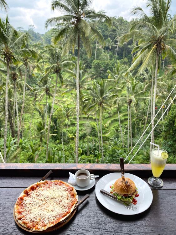 coconut, palm trees, food, serveware, cooking