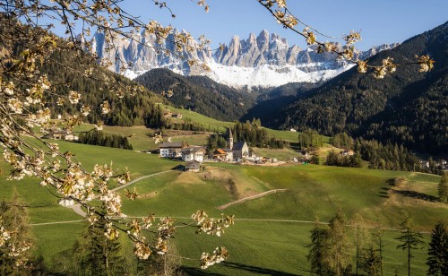 Image funes valley, dolomites, mountain, villn, plant