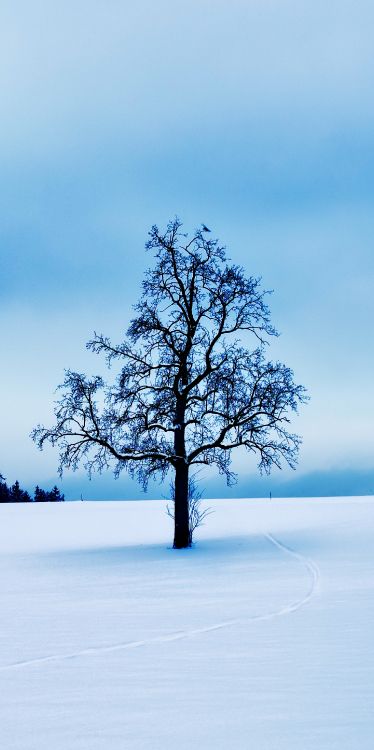 Galerie 1313, Art, Exposition, Artiste, Sur Gallery. Wallpaper in 2600x5200 Resolution