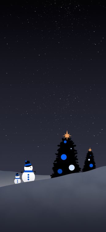 Christmas Day, christmas tree, holiday, night, star