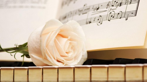 Image piano, musical note, rose, music, flower