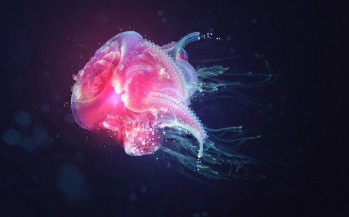 Image purple and green jellyfish in water