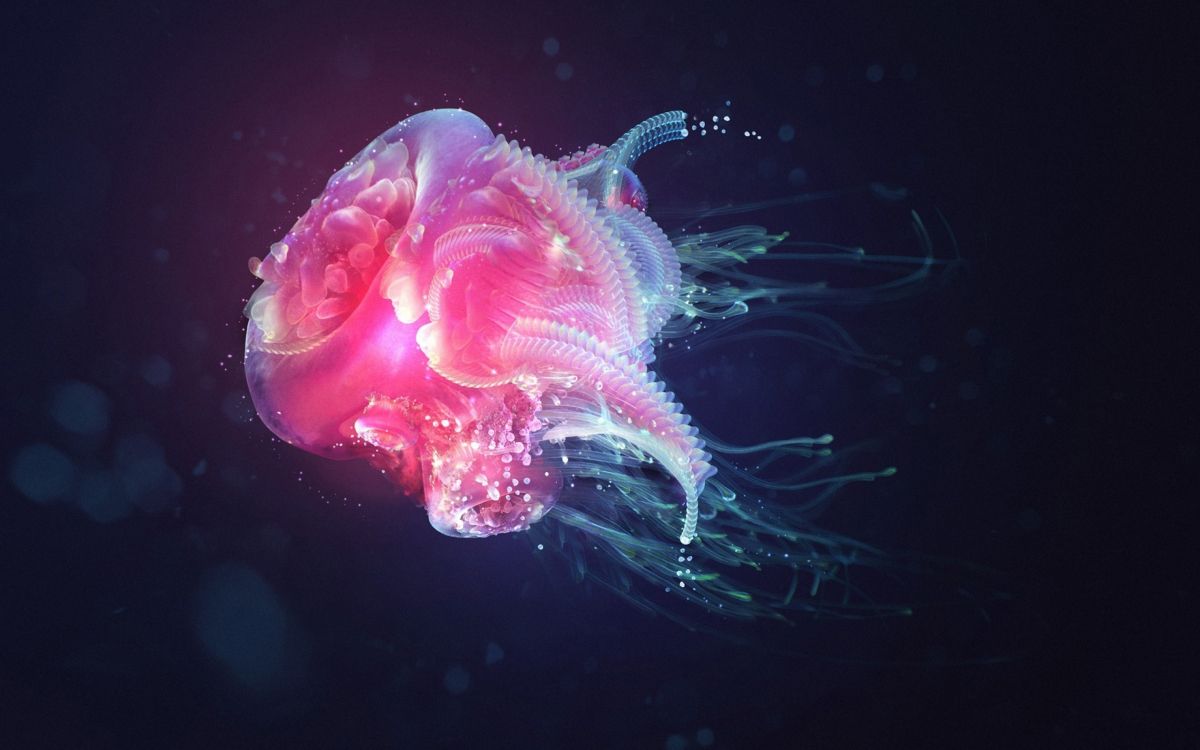 purple and green jellyfish in water