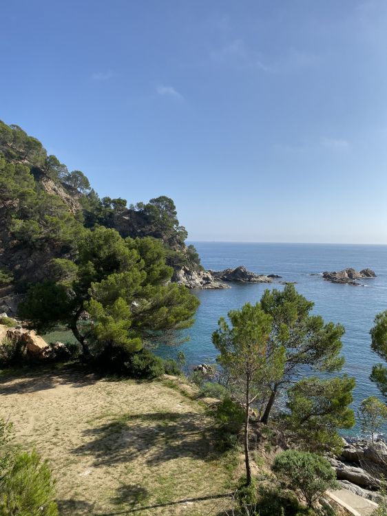 coast, vegetation, natural landscape, bank, shore