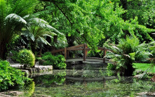 Image green trees near body of water during daytime