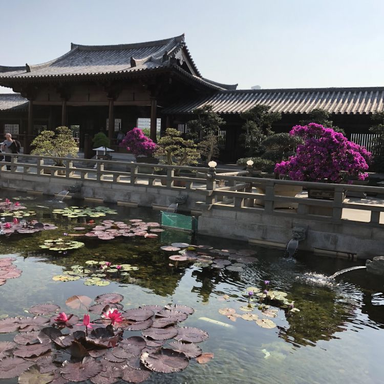 Hong Kong, L'architecture Chinoise, Tourisme, Eau, Attraction Touristique. Wallpaper in 1772x1772 Resolution