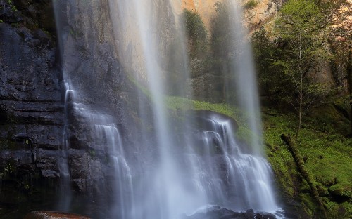 Image water falls in the middle of the forest