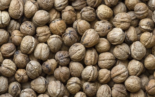 Image brown and beige round fruit